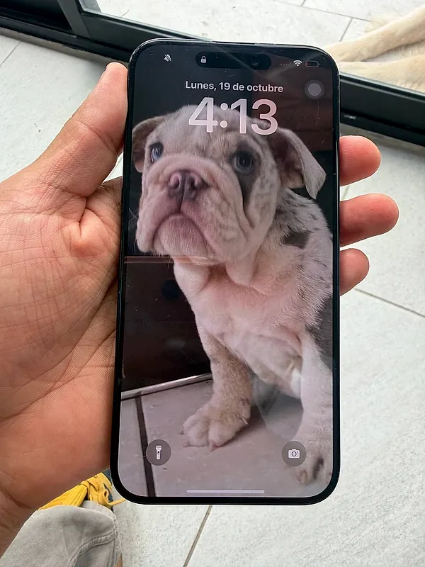 iPhone 15 Pro Max 256 azul titanio 100% batería — foto 3